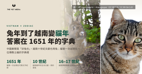 左邊一隻野兔、右邊一隻虎斑貓的對照圖，標題寫著兔年到了越南變貓年